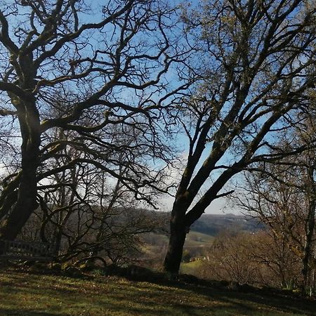 Gite Le Pigonnier Ecogite Le Luquet Saint Beauzeil 82150 Zewnętrze zdjęcie