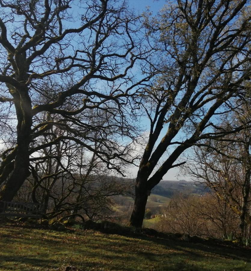 Gite Le Pigonnier Ecogite Le Luquet Saint Beauzeil 82150 Zewnętrze zdjęcie