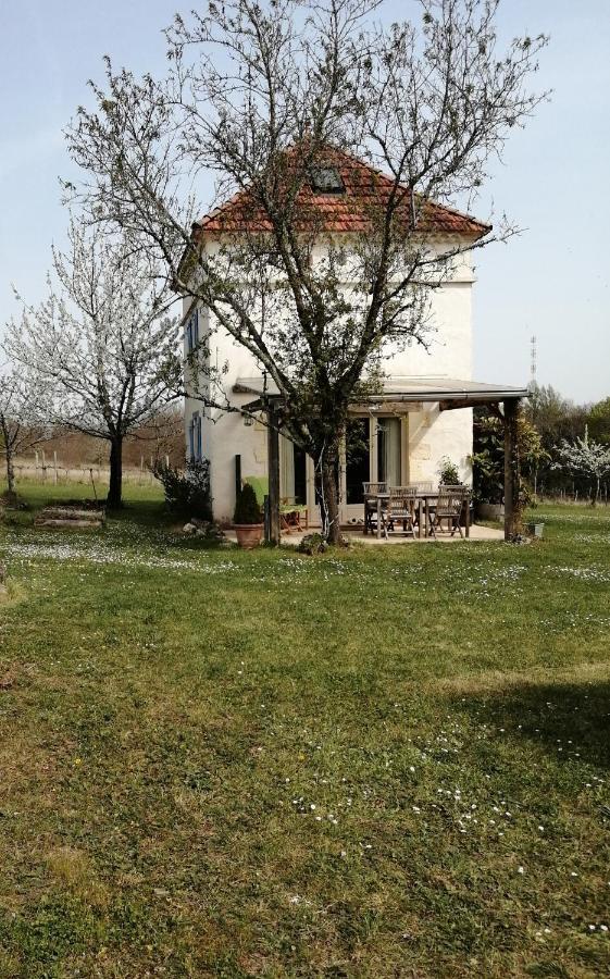 Gite Le Pigonnier Ecogite Le Luquet Saint Beauzeil 82150 Zewnętrze zdjęcie